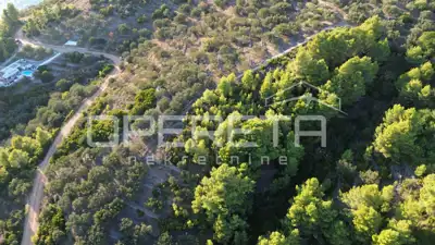 Landwirtschaftliches Grundstück 602 m², Vela Luka - Meerblick - 13