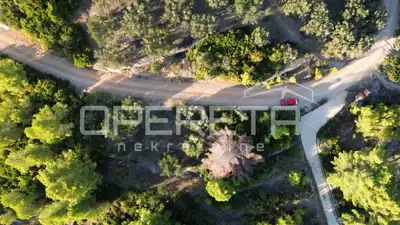 Landwirtschaftliches Grundstück 602 m², Vela Luka - Meerblick - 15