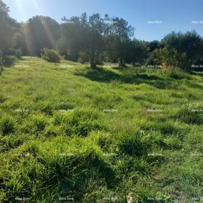 Verkauf - Landwirtschaftliche Fläche an guter Lage, Rovinj! ! - 2