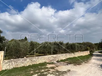 Poljoprivredno zemljište 2 039 m², Medulin - maslinik - 10