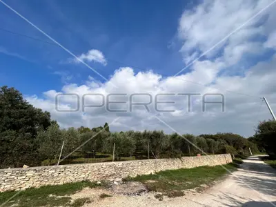 Poljoprivredno zemljište 2 039 m², Medulin - maslinik - 9