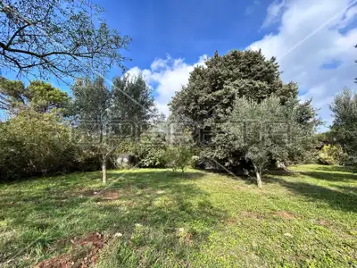 Poljoprivredno zemljište 2 039 m², Medulin - maslinik - 2