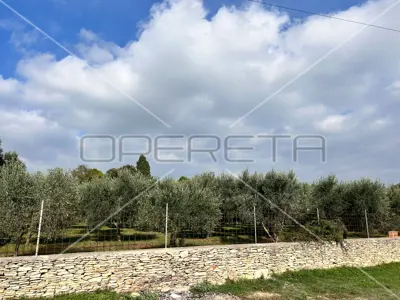 Poljoprivredno zemljište 2 039 m², Medulin - maslinik - 7