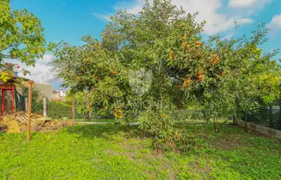 Gewerbeimmobilie zum Kauf in Brtonigla, 350 m² - 6