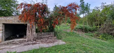 ISTRA, GRAČIŠĆE - Steingebäude mit großzügigem Grundstück in Alleinlage - 6