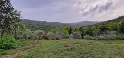 ISTRA, GRAČIŠĆE - Steingebäude mit großzügigem Grundstück in Alleinlage - 21