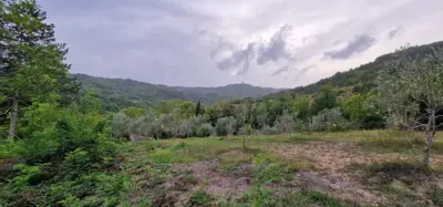 ISTRA, GRAČIŠĆE - Steingebäude mit großzügigem Grundstück in Alleinlage - 17
