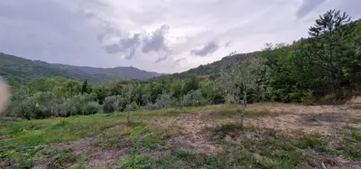 ISTRA, GRAČIŠĆE - Steingebäude mit großzügigem Grundstück in Alleinlage - 2