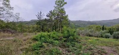 ISTRA, GRAČIŠĆE - Steingebäude mit großzügigem Grundstück in Alleinlage - 19