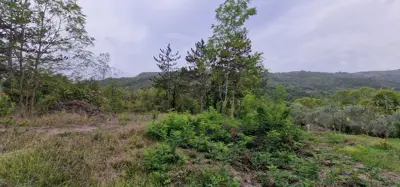 ISTRA, GRAČIŠĆE - Steingebäude mit großzügigem Grundstück in Alleinlage - 14