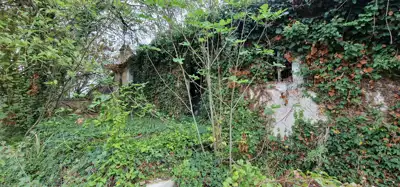 ISTRA, GRAČIŠĆE - Steingebäude mit großzügigem Grundstück in Alleinlage - 10