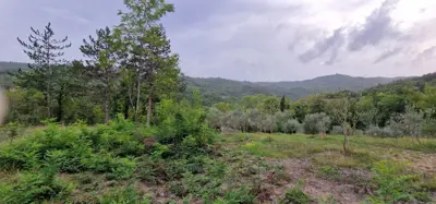 ISTRA, GRAČIŠĆE - Steingebäude mit großzügigem Grundstück in Alleinlage - 15
