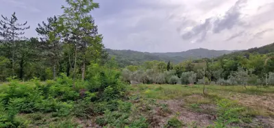 ISTRA, GRAČIŠĆE - Steingebäude mit großzügigem Grundstück in Alleinlage - 18