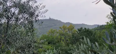 ISTRA, GRAČIŠĆE - Steingebäude mit großzügigem Grundstück in Alleinlage - 3