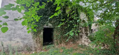 ISTRA, GRAČIŠĆE - Steingebäude mit großzügigem Grundstück in Alleinlage - 9