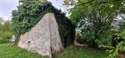 ISTRA, GRAČIŠĆE - Steingebäude mit großzügigem Grundstück in Alleinlage - 11