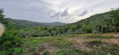 ISTRA, GRAČIŠĆE - Steingebäude mit großzügigem Grundstück in Alleinlage - 4