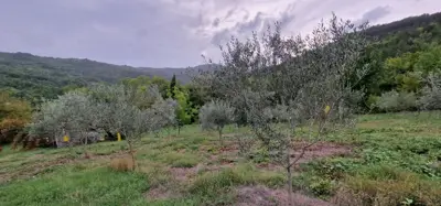 ISTRA, GRAČIŠĆE - Steingebäude mit großzügigem Grundstück in Alleinlage - 22