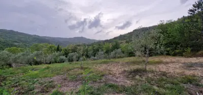 ISTRA, GRAČIŠĆE - Steingebäude mit großzügigem Grundstück in Alleinlage - 16