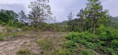 ISTRA, GRAČIŠĆE - Steingebäude mit großzügigem Grundstück in Alleinlage - 20
