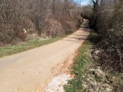 Grundstück 63 000 m², Labin - Nähe von Rabac und Infrastruktur - 5