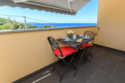 Kuća 200 m², Miholašćica - pogled na more i dvorište - 9