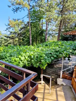 Kuća 88 m², Lič kod Fužina, bazen i okućnica - 15