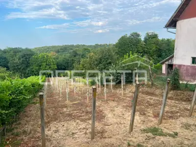 Weinbauernhaus 48 m², Vinogradi Ludbreški, Terrasse 25 m² - 9