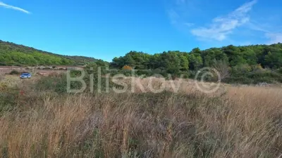 Agricultural land 5 916 m², Rukavac, water on the parcel - 5