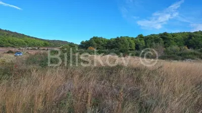 Poljoprivredno zemljište 5 916 m², Rukavac, voda na parceli - 5