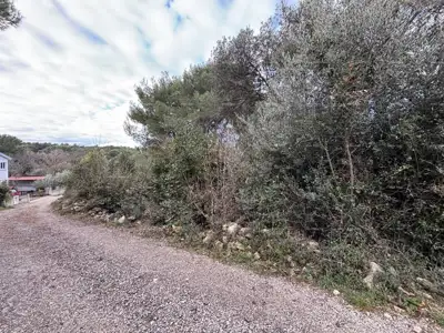 Premantura, Baugrundstück 1.600 m² - 3
