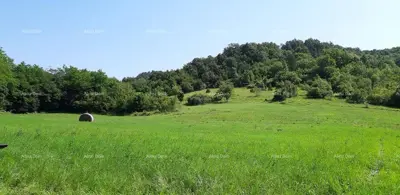Imanje, Pazin - Okolica, Beram, 5 500 m² građevinskog dijela - 5