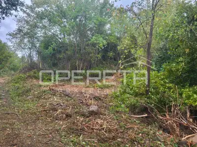 Građevinsko zemljište 2.489 m², Kršan - mirno zeleno okruženje