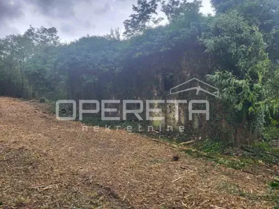 Građevinsko zemljište 2.489 m², Kršan - mirno zeleno okruženje - 4
