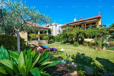 House 300 m², Rovinj near Cuve Bay, 700 m from the beach - 8