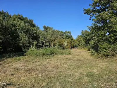 MALI VAREŠKI - Baugrundstück mit Olivenhain, 2.976 m² - 12
