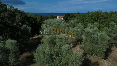 MALI VAREŠKI - Baugrundstück mit Olivenhain, 2.976 m² - 7