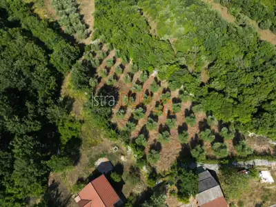 MALI VAREŠKI - Baugrundstück mit Olivenhain, 2.976 m² - 6
