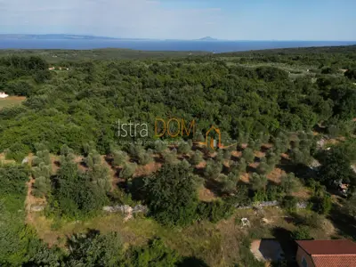 MALI VAREŠKI - Baugrundstück mit Olivenhain, 2.976 m² - 10