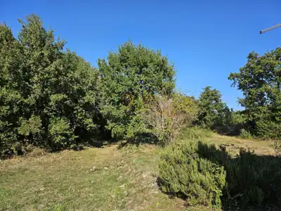 MALI VAREŠKI - Baugrundstück mit Olivenhain, 2.976 m² - 13