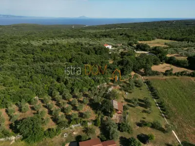 MALI VAREŠKI - Baugrundstück mit Olivenhain, 2.976 m² - 9