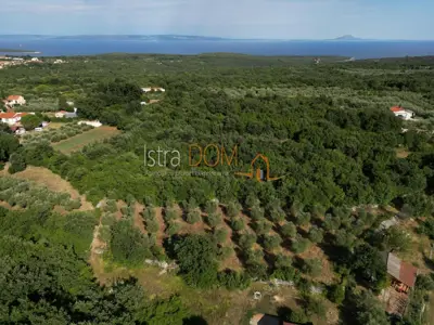 * MALI VAREŠKI – GRAĐEVINSKO ZEMLJIŠTE S MASLINIKOM, 2.976 m² *