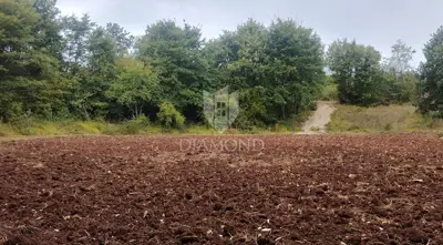 Large plot with project and building permit - 11