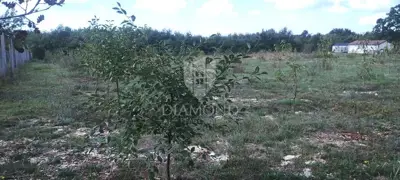 Large plot with project and building permit - 13