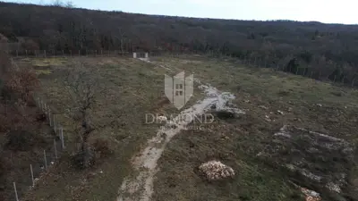 Large plot with project and building permit - 6