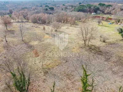 Poreč, surroundings, building plot in a quiet place! - 5