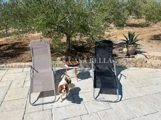 Krk, Haus mit großem Grundstück - 20