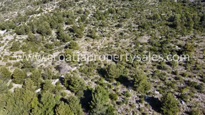Land, Trogir, 21 000 m², 175 000 € - 7
