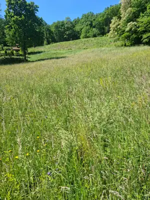 Građevinsko zemljište 5.582 m², Marija Bistrica - blizu centra