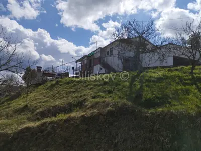 Buzet, prodaja, kuća na brežuljku, parcela 2400 m² - 2
